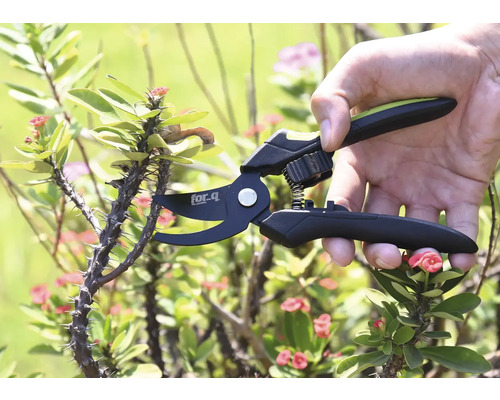 En hand använder en For Q sekatör för att klippa en taggig gren.