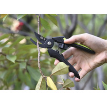 En hand håller en trädgårdssax som klipper av en gren.