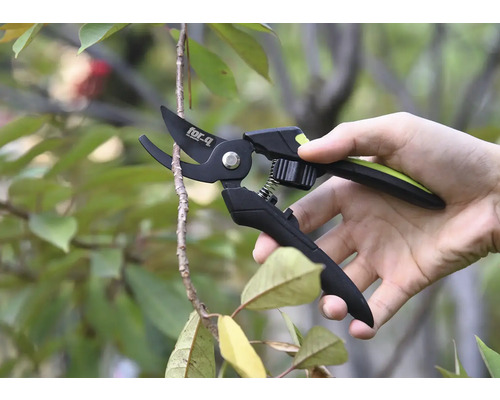 En hand håller en trädgårdssax som klipper av en gren.