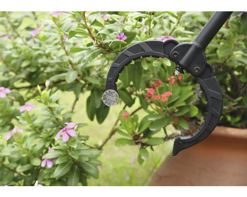 Griptång för att plocka upp ett mynt framför växter