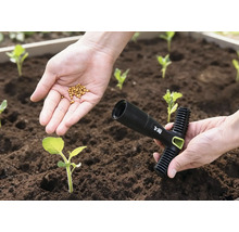 En hand håller frön över en bädd, den andra handen håller ett planteringsverktyg.