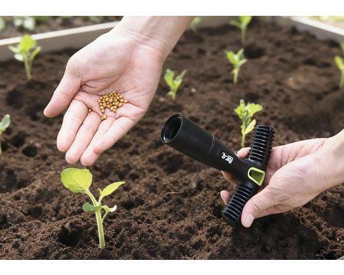 En hand håller frön över en bädd, den andra handen håller ett planteringsverktyg.