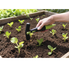 Trädgårdsscen med såddplanteringsverktyg i bruk i en upphöjd trädgårdslåda med unga plantor.