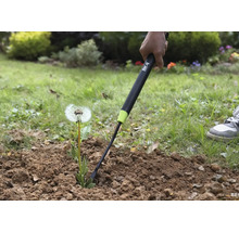 Närbild av en person som tar bort en maskros från marken med en ogräsrensare