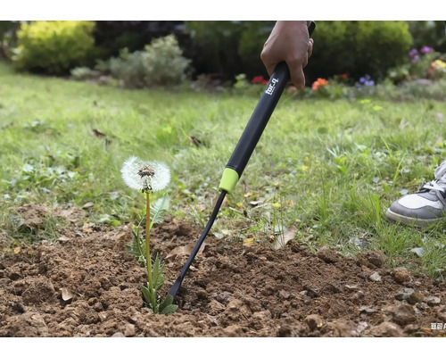 Närbild av en person som tar bort en maskros från marken med en ogräsrensare
