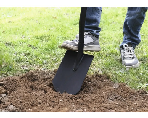 En person sticker ner en spade i jorden.
