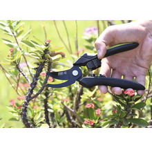 Trädgårdssax klipper en taggig gren