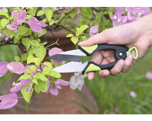 Trädgårdssax klipper växt