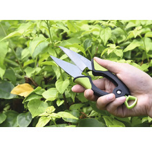 Hand med trädgårdssax framför gröna växter