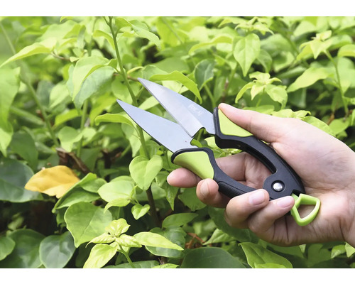 Hand med trädgårdssax framför gröna växter