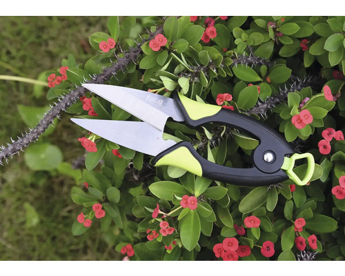 Blomstersax för beskärning av växter