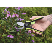 Trädgårdssax i bruk på en växt