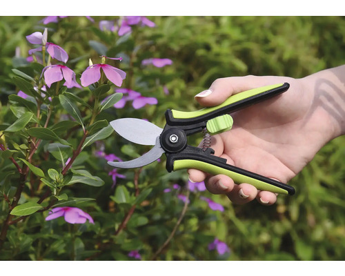 Trädgårdssax i bruk på en växt