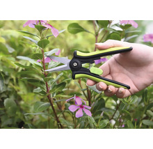 En person klipper en skott av vinka med en trädgårdssax