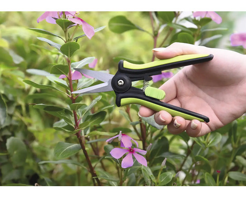 En person klipper en skott av vinka med en trädgårdssax