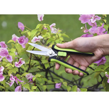 Trädgårdssax i en hand framför en blommande växt