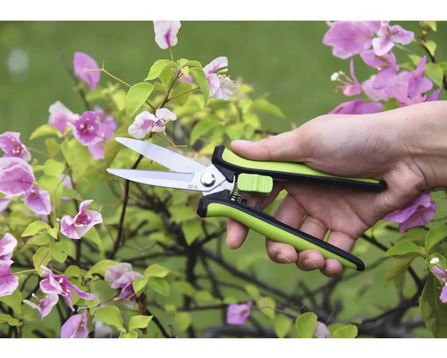 Trädgårdssax i en hand framför en blommande växt