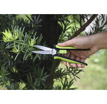 Trädgårdssax klipper en gren