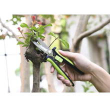 Trädgårdssax klipper en gren