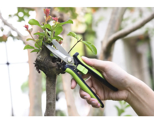 Trädgårdssax klipper en gren
