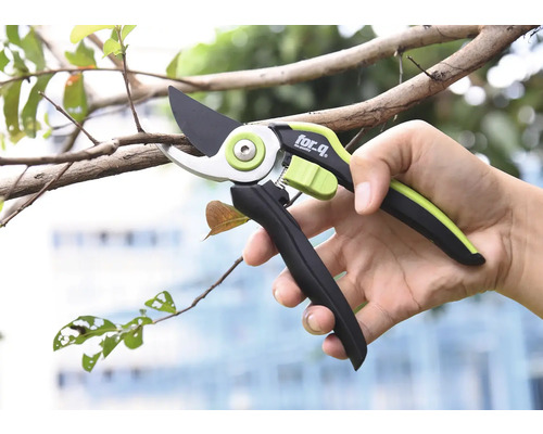 Närbild av en hand som håller en grensax som beskär en gren