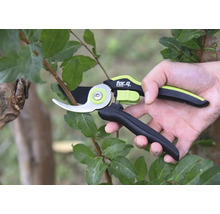 Trädgårdssax används på en gren med löv, märke for.q.