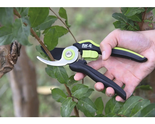 Trädgårdssax används på en gren med löv, märke for.q.