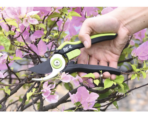 En person använder en grensax från for_q för att klippa en blommande gren.