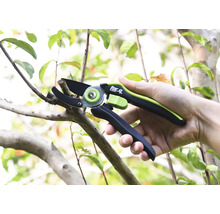 Trädgårdssax klipper en gren