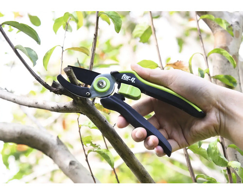 Trädgårdssax klipper en gren