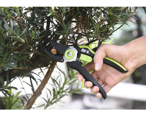 En person klipper en gren med en sekatör av märket For Q.