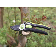 Trädgårdssax för beskärning av grenar