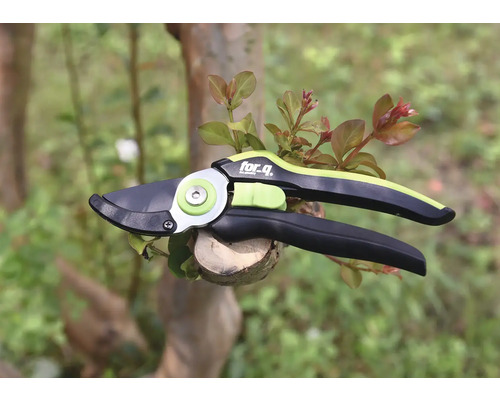 Trädgårdssax för beskärning av grenar