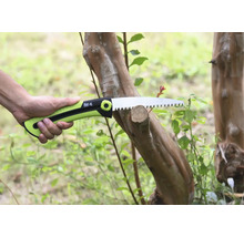 Grensåg som sågar av en gren