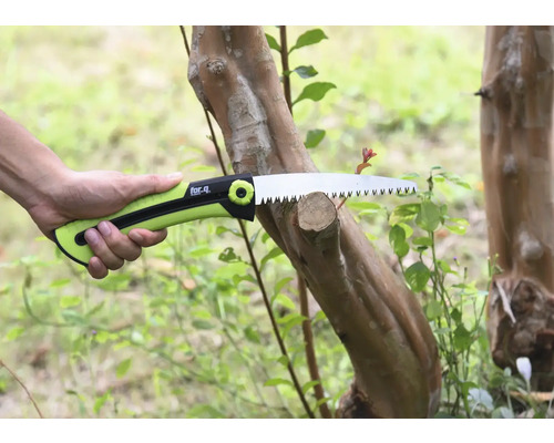 Grensåg som sågar av en gren