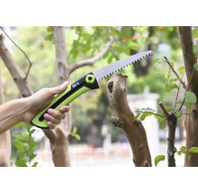 En grensax kapar en gren.