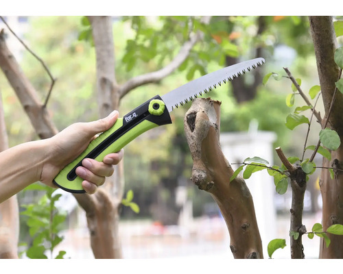 En grensax kapar en gren.