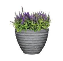 Blomkruka med lila blommande växt