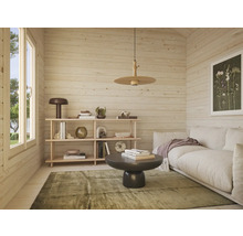 Ljus träväggsinredning med hyllor, soffa, matta och belysning