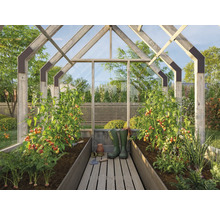 Växthus med tomatplantor, grönsaker och trädgårdsredskap