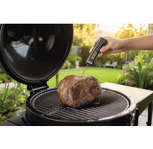Stek på grill med termometer för temperaturkontroll