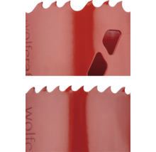 Detaljvy av en metallbladspets