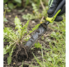 Ogräsjärn används för att ta bort maskrosor