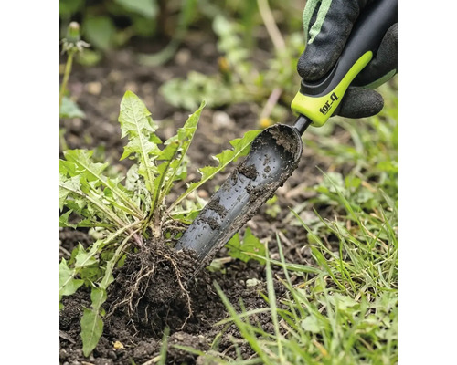 Ogräsjärn används för att ta bort maskrosor