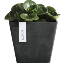 Kvadratisk blomkruka från Ecopots med en grön växt.