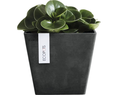 Kvadratisk blomkruka från Ecopots med en grön växt.