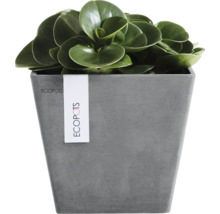 Fyrkantig Ecopots-blomkruka i stenlook med en grön krukväxt.