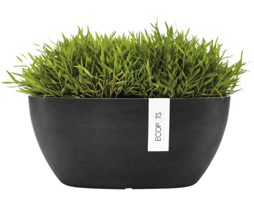 Oval svart ECOPOTS planteringsskål med grön växt.