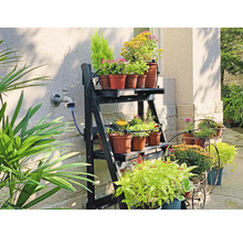 Blommor på en hylla och i krukor utomhus.