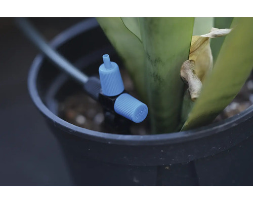 Bevattningssystemdroppare i blomkruka med växt